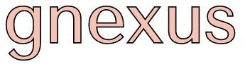 GNexus logo